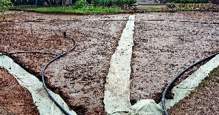 Устройство дренажа Луга, цена от 1355 руб.